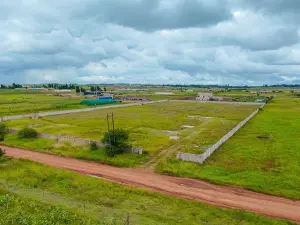 Commercial Stand for Sale