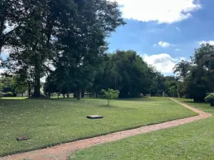 Townhouse/Cluster to Rent in Borrowdale