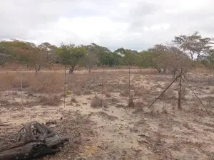 Residential Stand for Sale