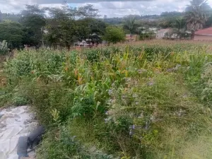 Residential Stand for Sale