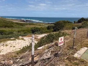 Commercial Stand for Sale