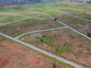 Commercial Stand for Sale