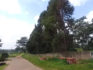 Residential Stand for Sale