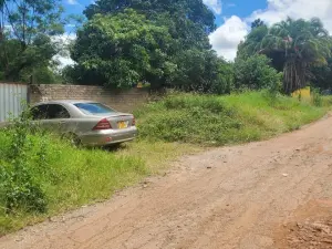 Commercial Stand for Sale