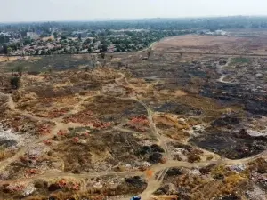 Commercial Stand for Sale