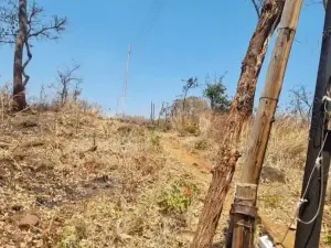 Commercial Stand for Sale