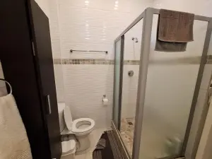 1 Bedroom Cottage/Garden Flat to Rent in Avondale