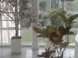 Flat/Apartment to Rent in Avondale West