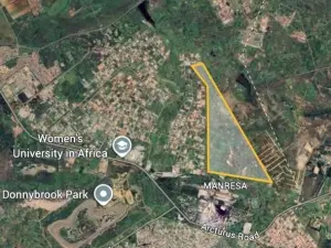 Commercial Stand for Sale