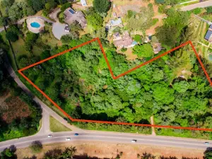 Commercial Stand for Sale