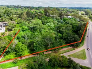 Commercial Stand for Sale