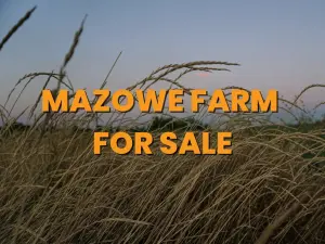 Farm/Plot for Sale