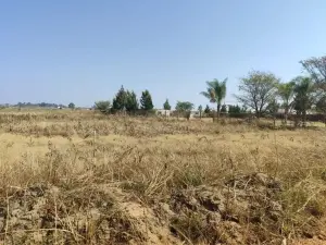 Residential Stand for Sale