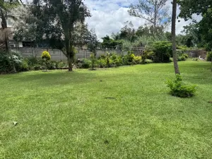 Flat/Apartment to Rent in Avondale