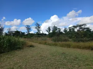 Residential Stand for Sale