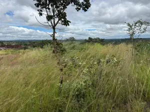 Residential Stand for Sale