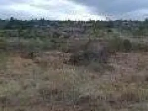 Residential Stand for Sale