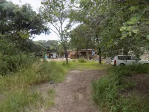 Commercial Stand for Sale