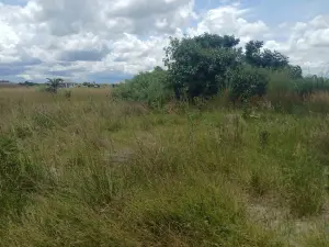 Residential Stand for Sale