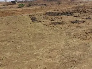 Residential Stand for Sale