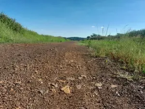 Residential Stand for Sale