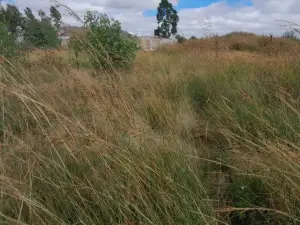 Residential Stand for Sale