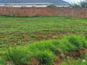 Residential Stand for Sale