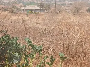 Residential Stand for Sale