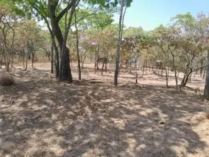 Residential Stand for Sale