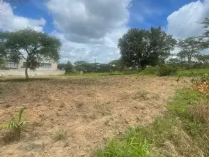 Residential Stand for Sale