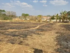 Residential Stand for Sale