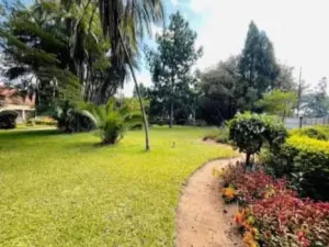 Commercial Stand for Sale