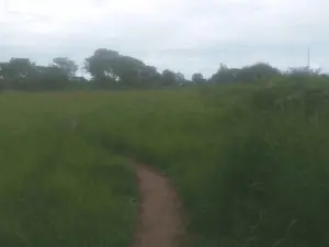 Residential Stand for Sale