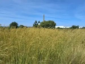 Commercial Stand for Sale