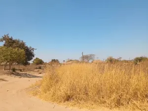 Residential Stand for Sale