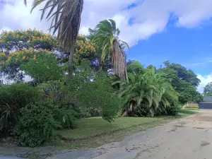 3 Bedroom House to Rent in Avondale West