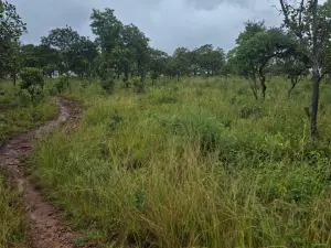 Residential Stand for Sale