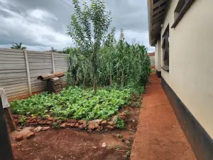 6 Bedroom House to Rent in Mount Pleasant Heights