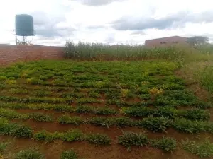 Industrial Stand for Sale