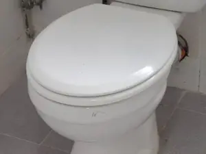 4 Bedroom House to Rent in Helensvale