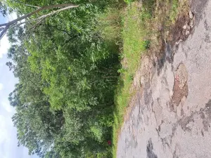 Residential Stand for Sale