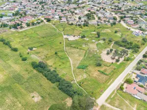 Commercial Stand for Sale