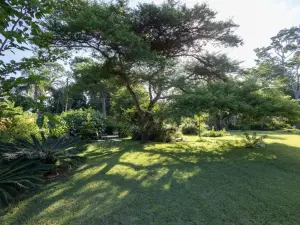 Office to Rent in Highlands