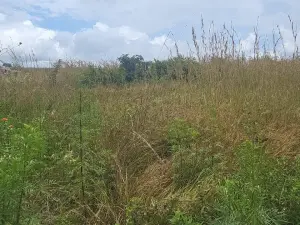 Industrial Stand for Sale