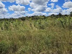 Residential Stand for Sale