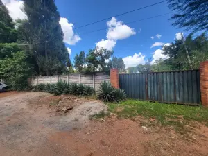 Commercial Stand for Sale