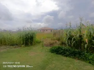 Residential Stand for Sale