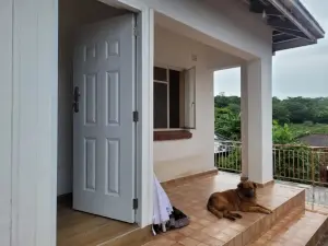 1 Bedroom House to Rent in Borrowdale