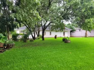 1 Bedroom House to Rent in Borrowdale