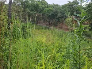 Residential Stand for Sale